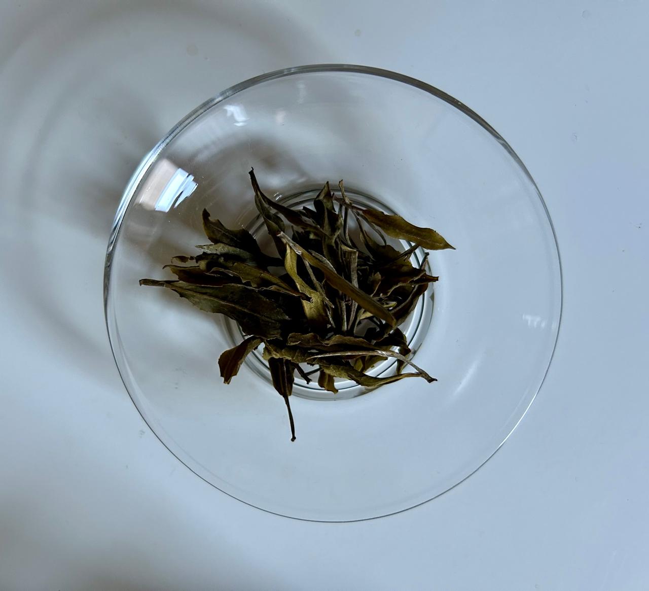 White Peony - Unravel Tea